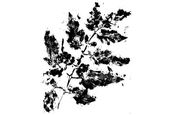 Download Grunge Leaf Ink Texture Stamps - Texture Collection